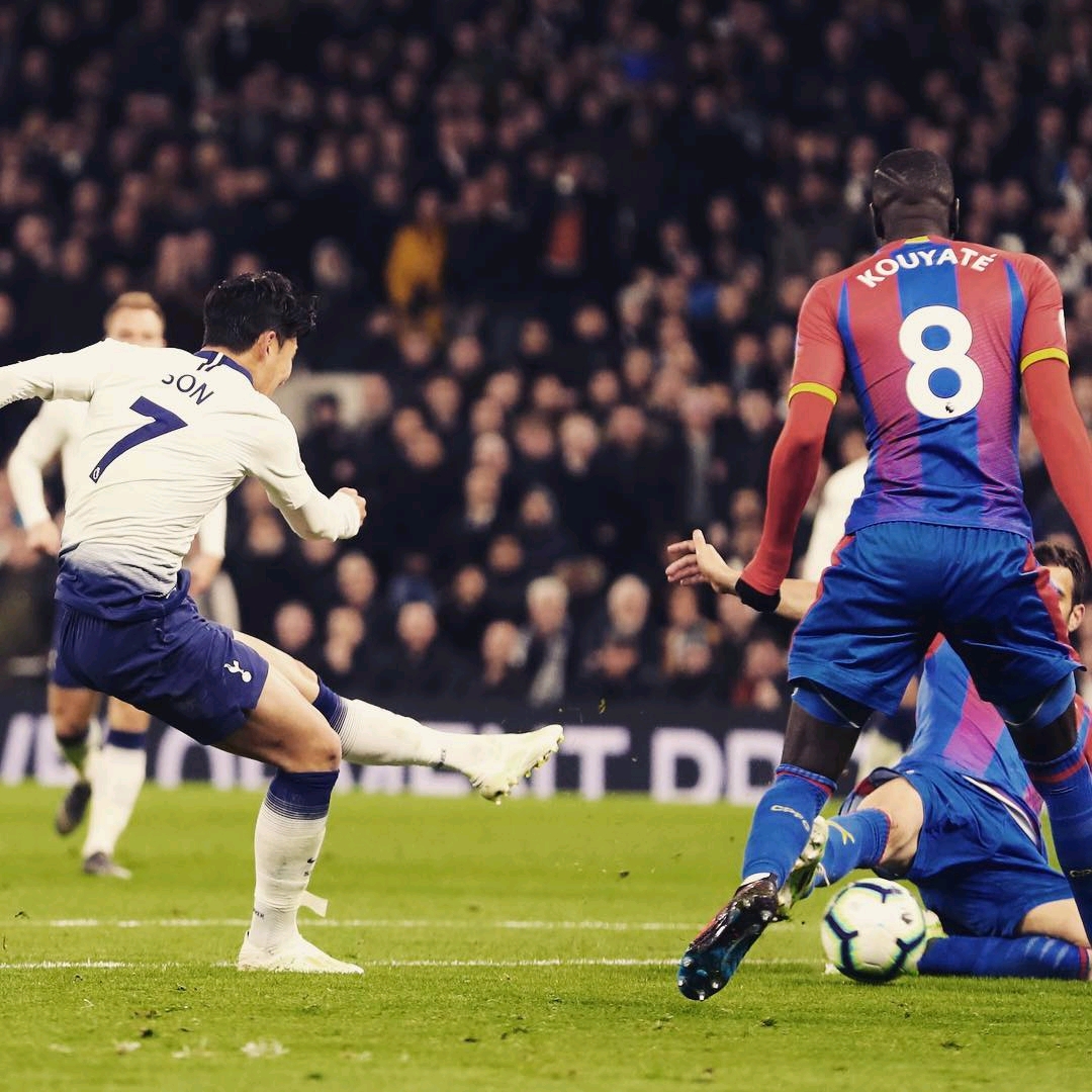 自然风光的 自然风光的